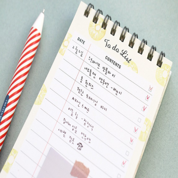 Desk To-Do List Notebook — The Strive | to do list notebooks | to do list notebooks 