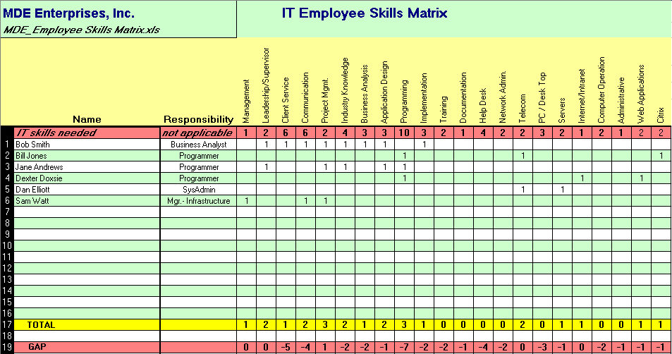 Assess IT support capability and capacity with an IT Employee 