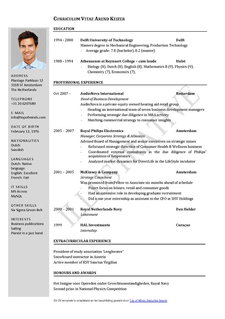 vita resume template best 25 curriculum vitae template ideas only 