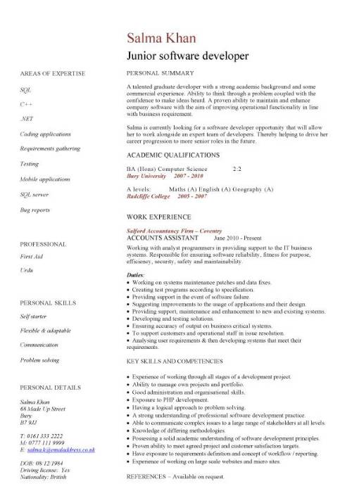 Junior software developer CV sample, resume writing, curriculum 