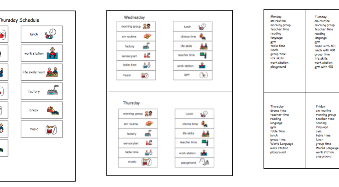 Autism Papers Structured Teaching:Strategies for Supporting 