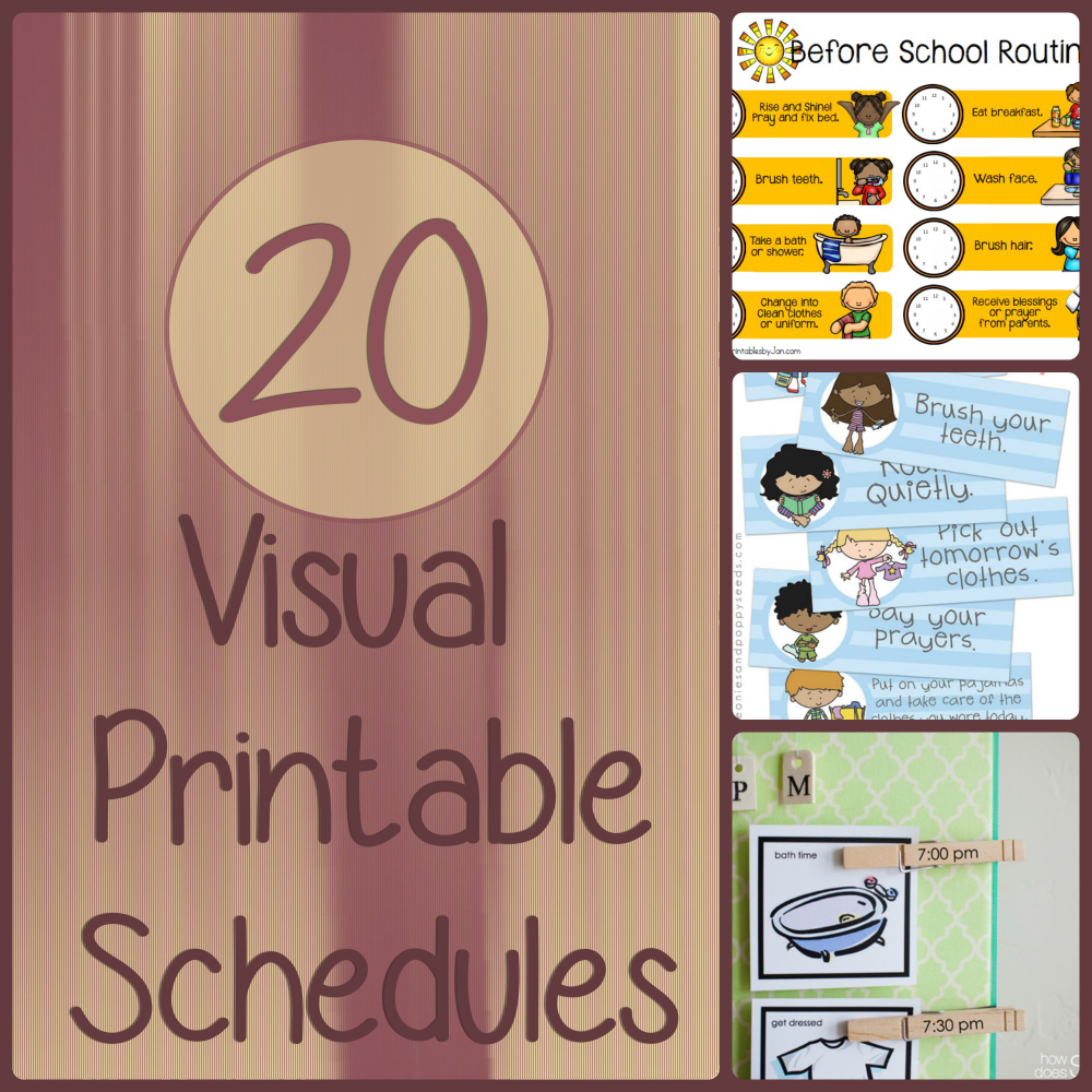 Free Boardmaker Picture Schedules | Boardmaker Home Activities 